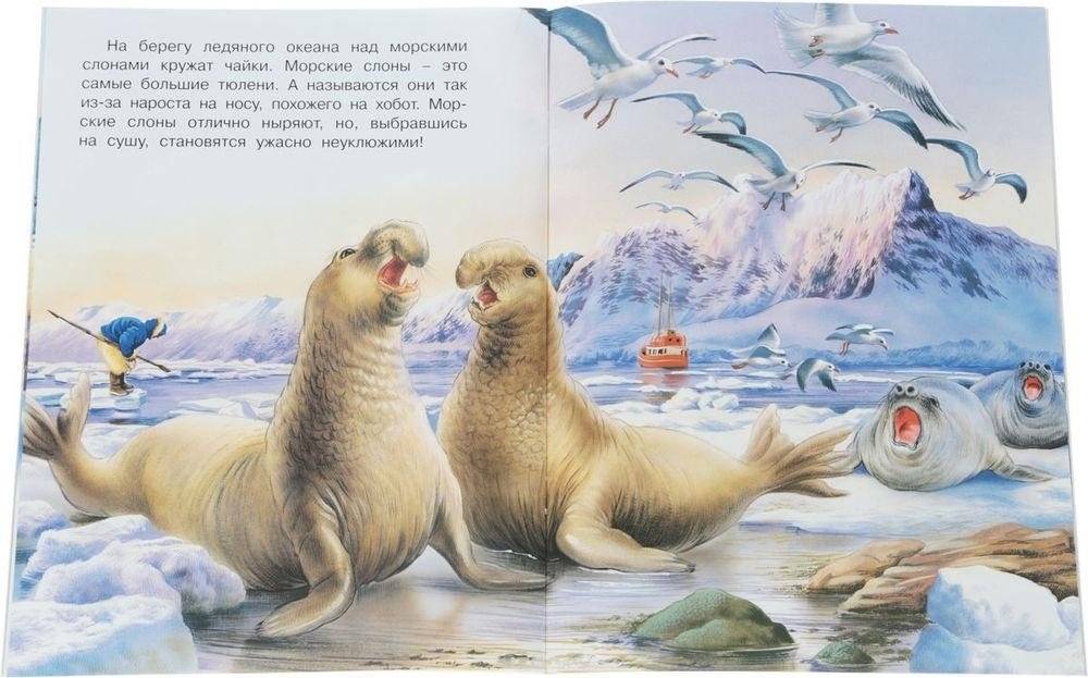 На полюсе фото книги 3