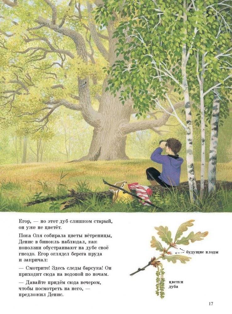 Наше дерево фото книги 5