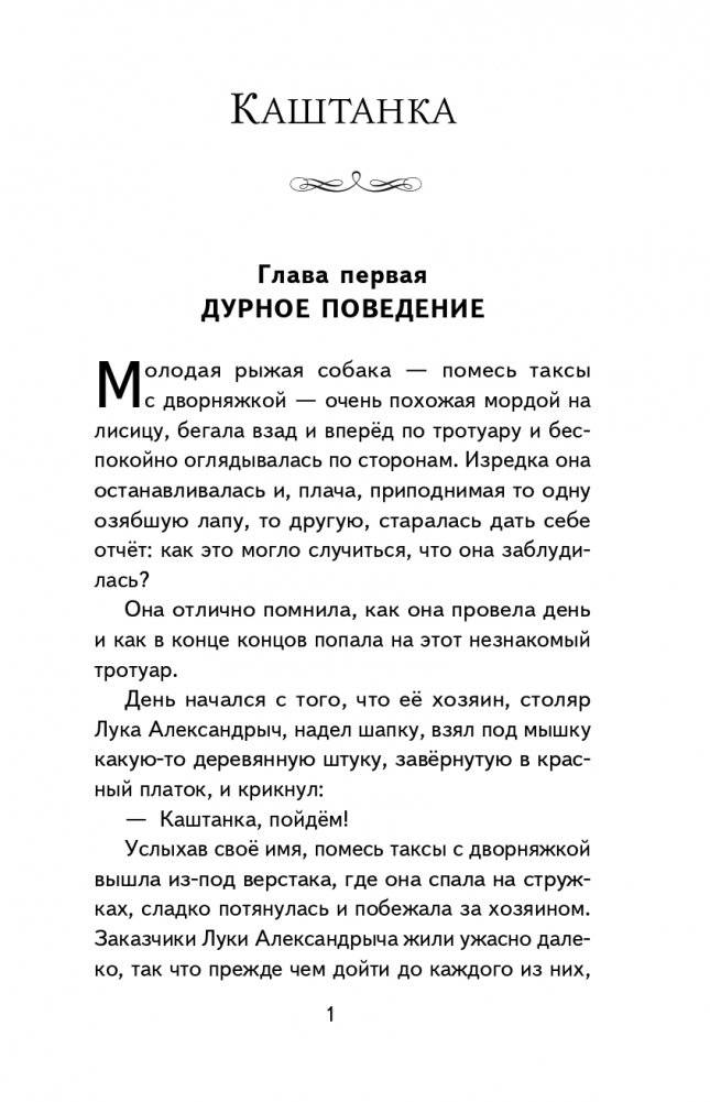 Каштанка. Рассказы (ил. М. Белоусовой, Д. Кардовского) фото книги 2
