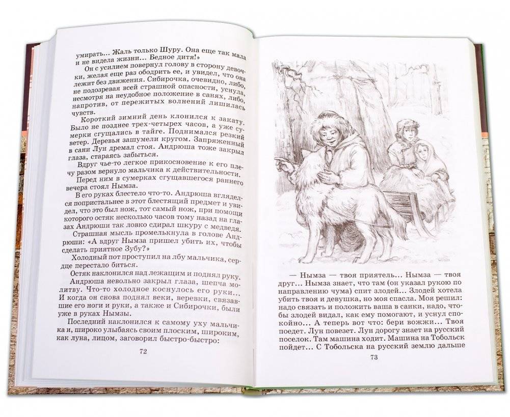 Сибирочка. Записки маленькой гимназистки фото книги 3