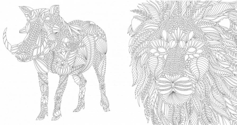 Первозданная красота. Книга для творчества и вдохновения фото книги 6