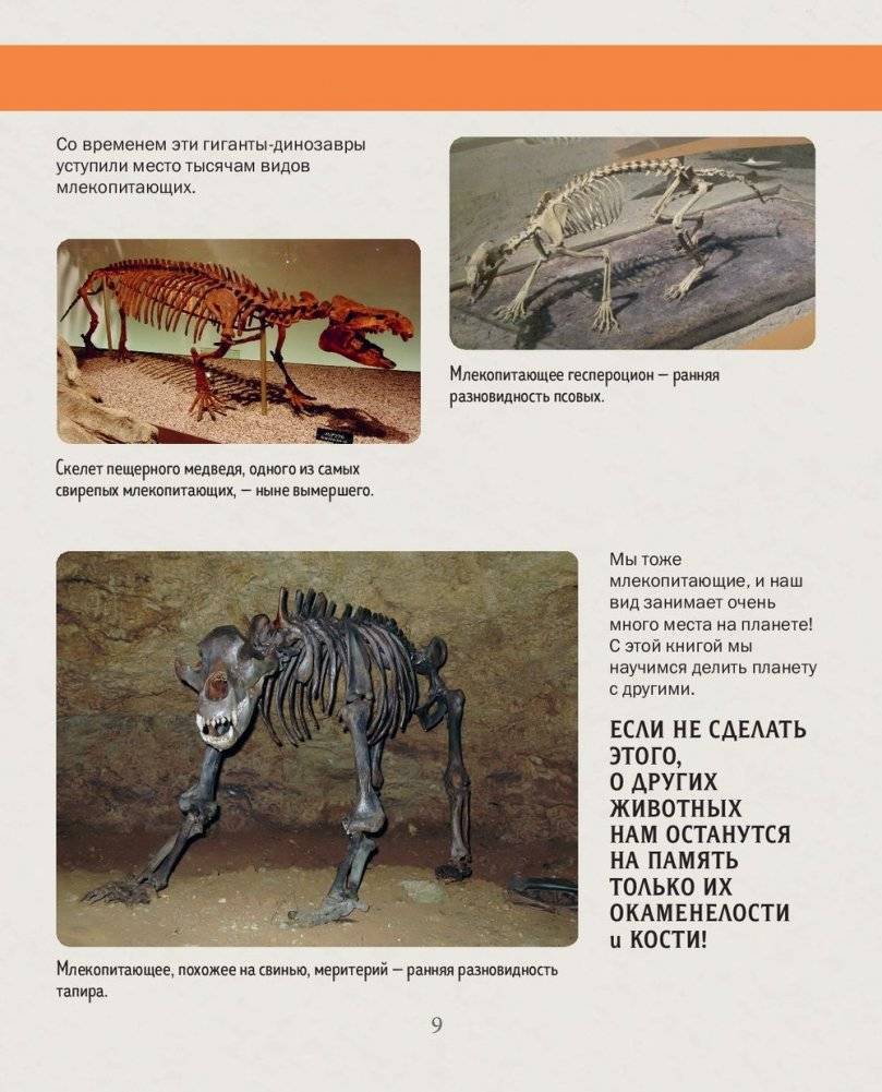 История жизни на Земле. От бактерии до человека фото книги 9