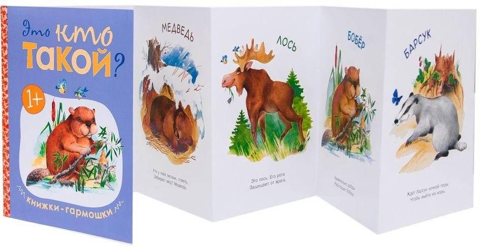 Книжки-гармошки. Это кто такой? фото книги 3