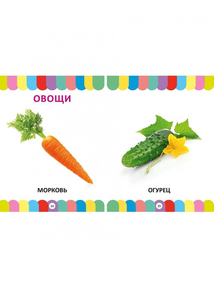 Главная книга малыша от 1 года до 3 лет. Фотокнига фото книги 4