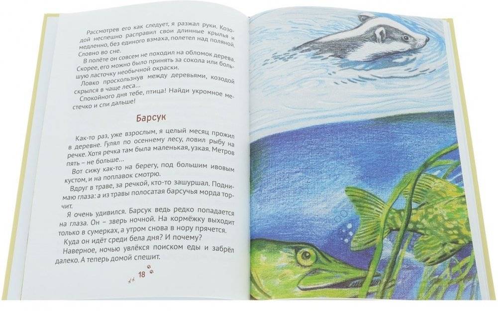 Пряники для слона фото книги 2