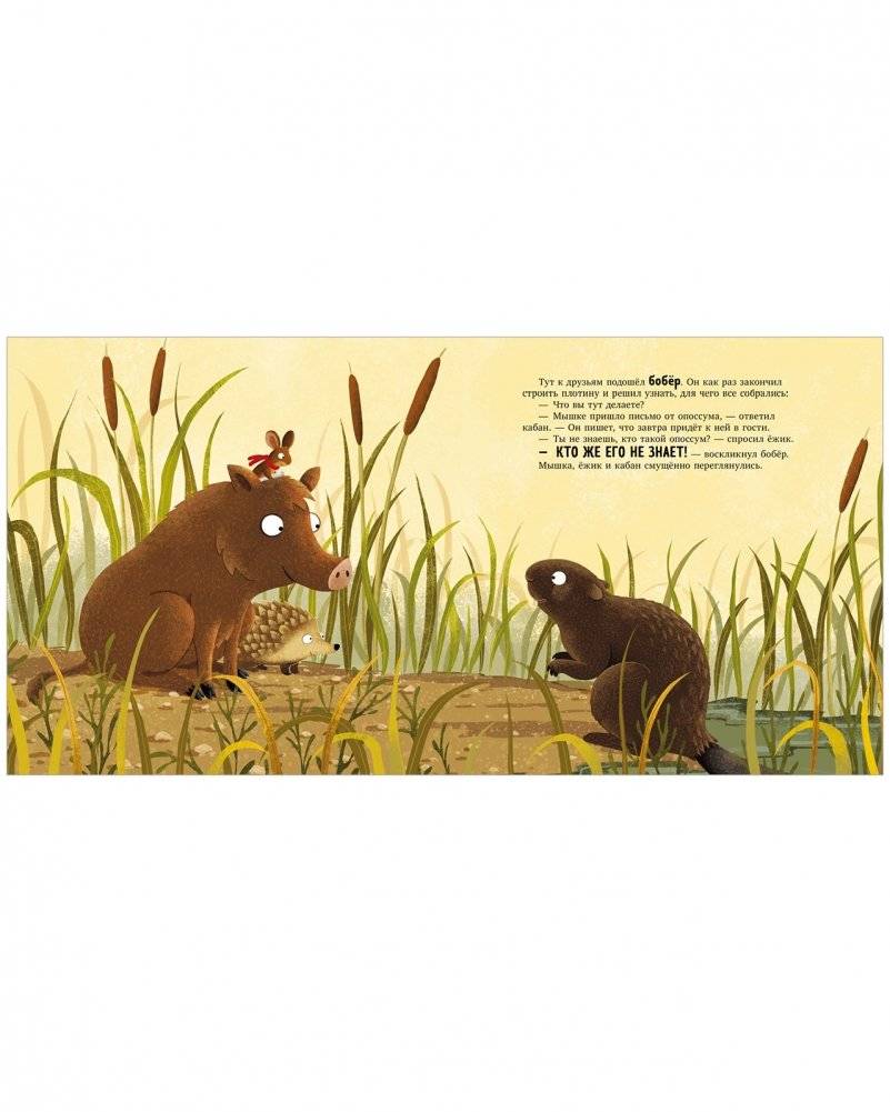 Книжки-картинки. Кто такой опоссум? фото книги 5