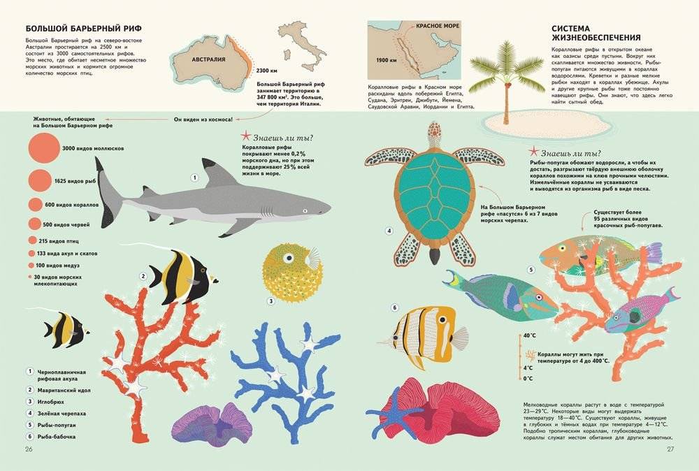 Подводный мир. Визуальный гид фото книги 2