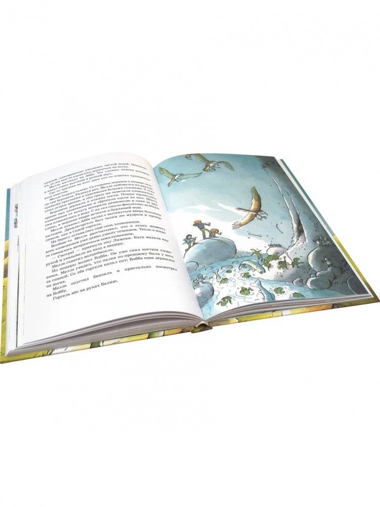 Горгели и тайна ледника фото книги 4