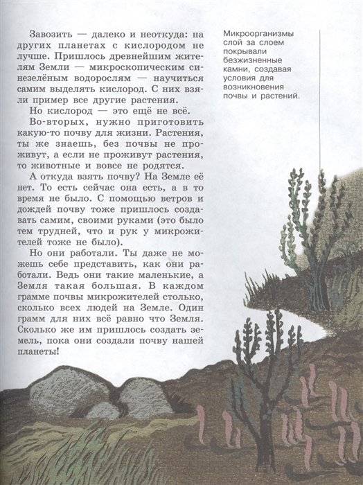 Почему так много "почему". Сказки о природе фото книги 7