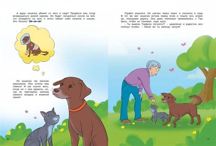 Невероятные истории об удивительных животных фото книги 7