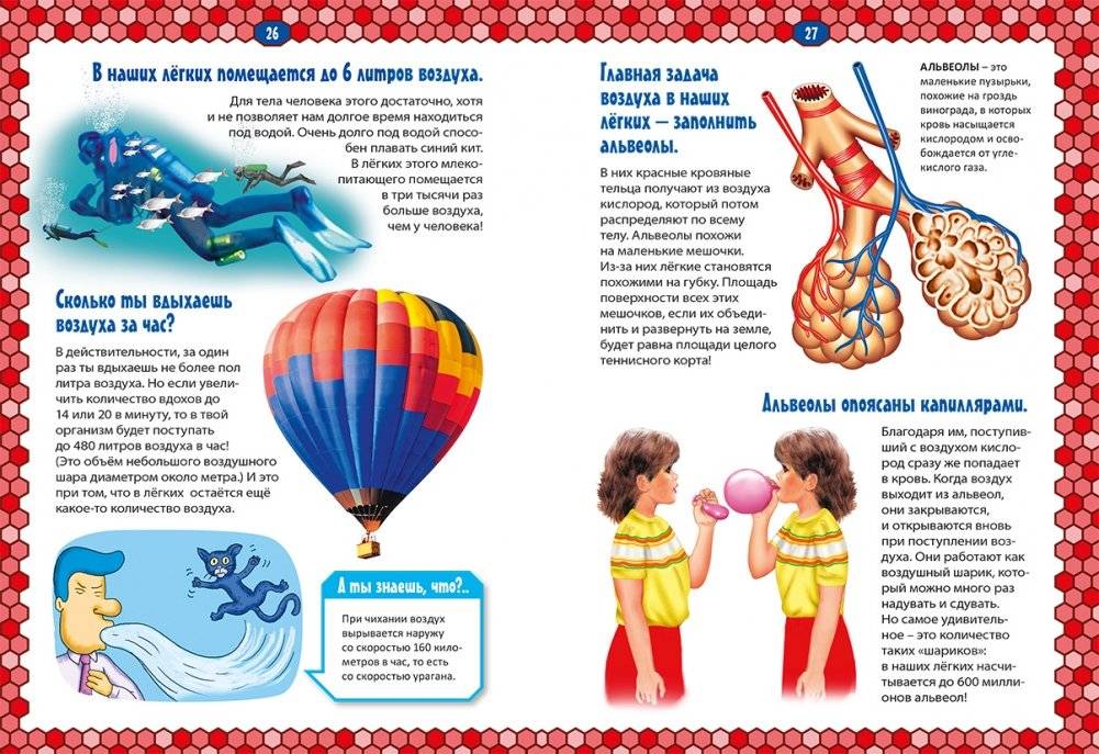 Тело человека фото книги 3