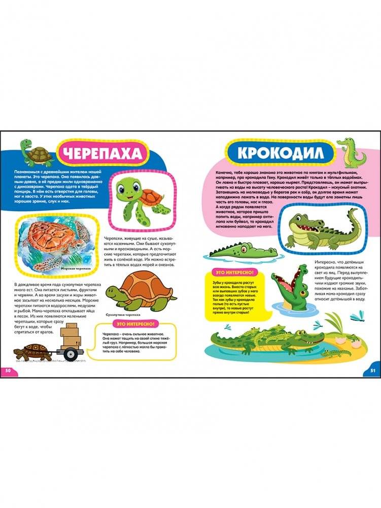 Животные для малышей. Первая энциклопедия для самых маленьких фото книги 8