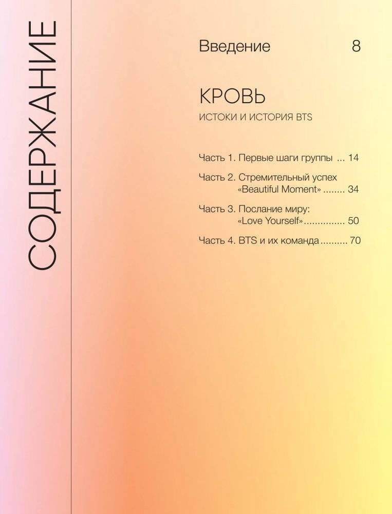 BTS. Кровь, пот и слёзы. История пуленепробиваемых парней фото книги 6