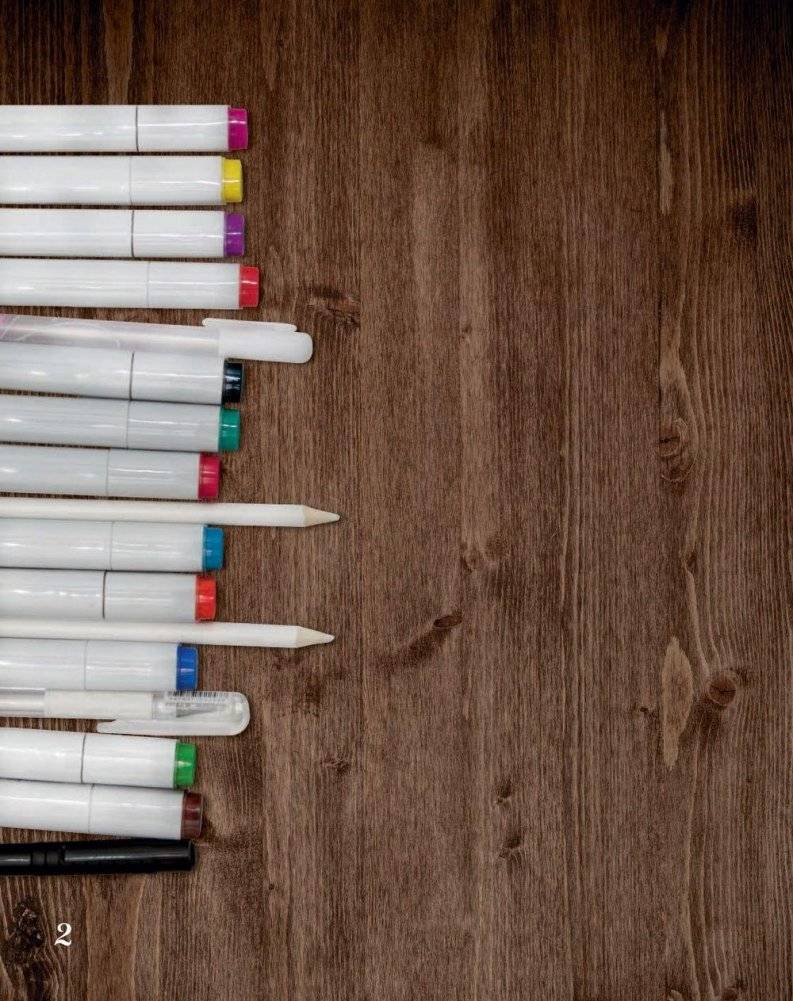 Маркеры! Рисуем яркие скетчи с Лизой Красновой фото книги 2