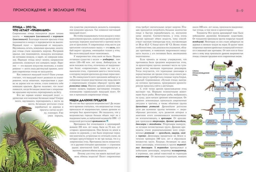 Птицы. Полная энциклопедия фото книги 6