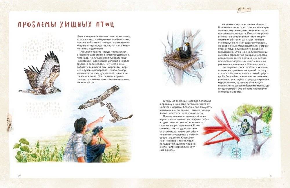 Птицы Камчатки фото книги 4