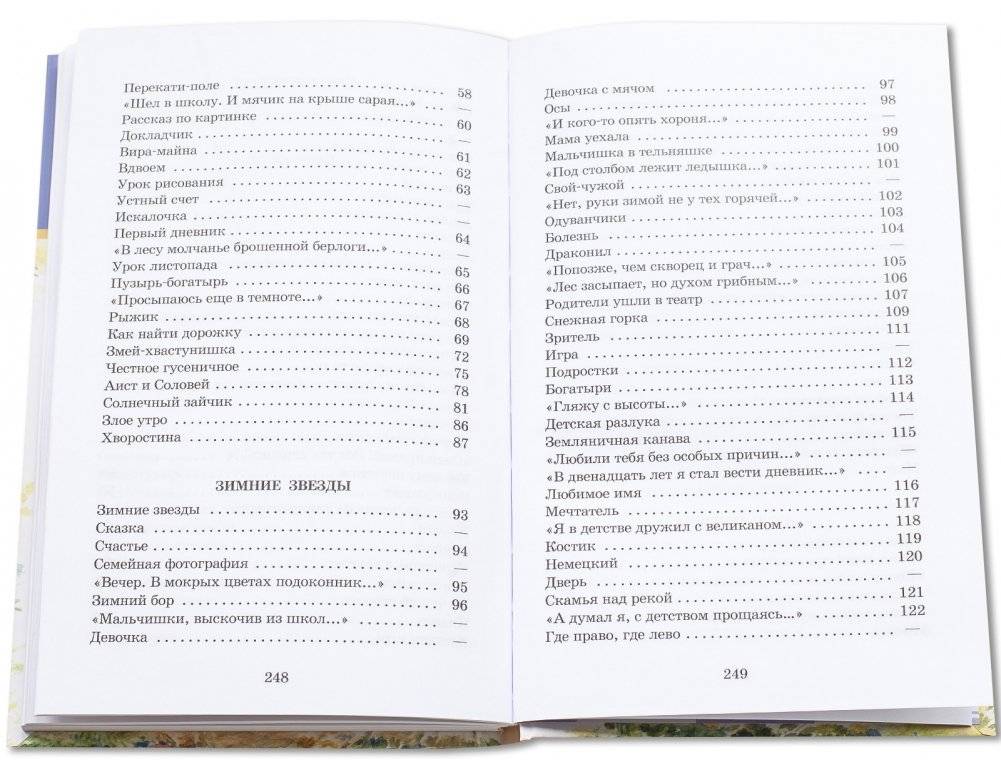 Веселое лето фото книги 7