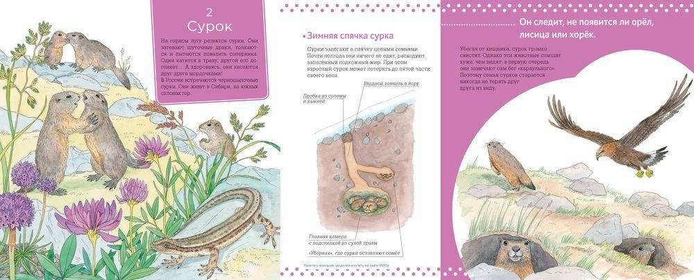 Живая природа. В горах фото книги 2