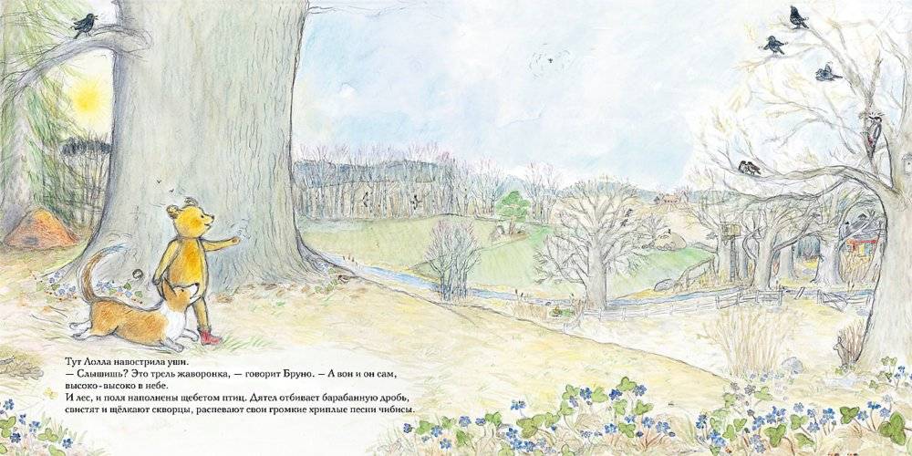 Весна мишки Бруно фото книги 3