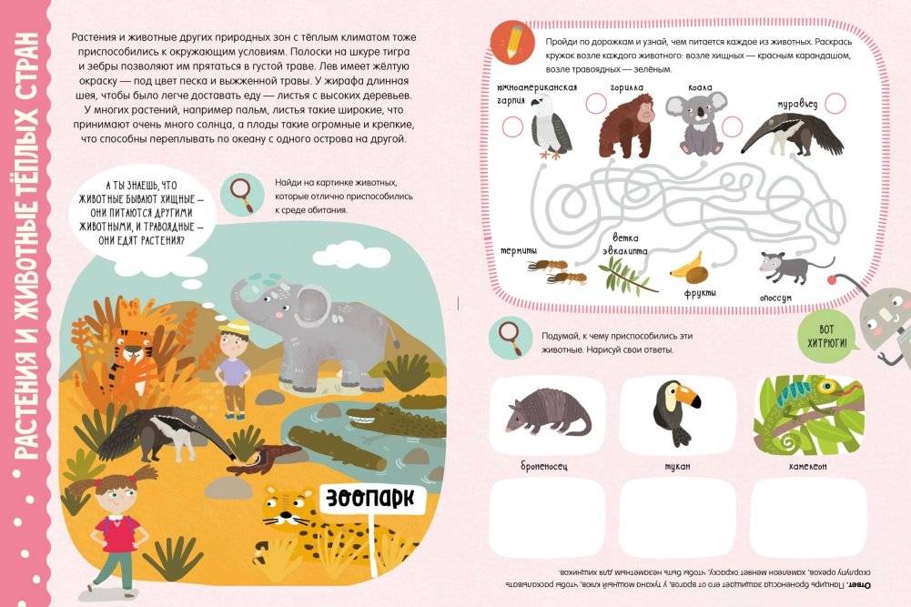 Секреты планеты Земля. Факты, задания, эксперименты фото книги 6