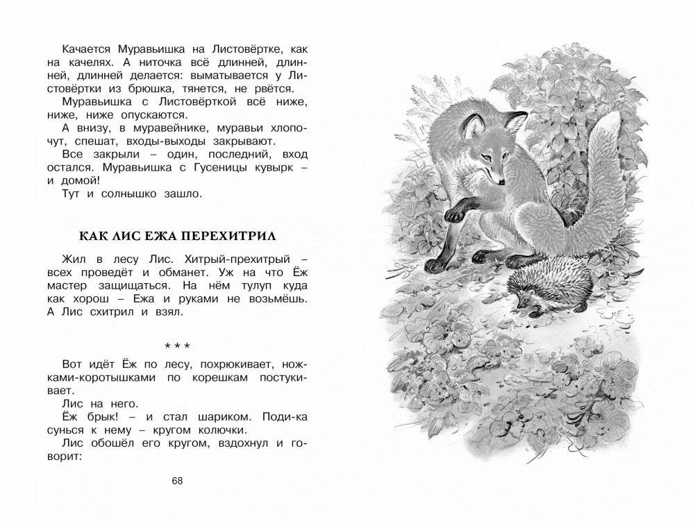 Как Лис Ежа перехитрил фото книги 7