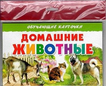 Домашние животные фото книги