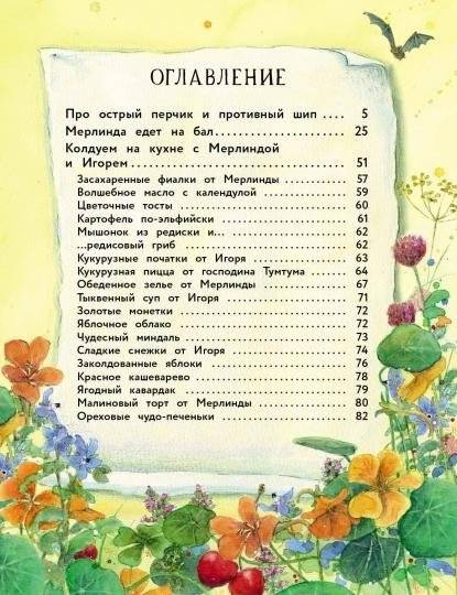 Маленькая колдунья Мерлинда и дракон Игорь фото книги 2