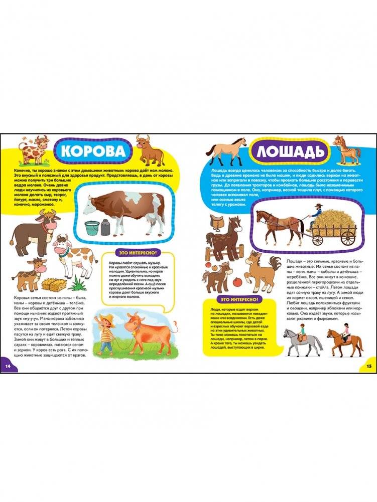 Животные для малышей. Первая энциклопедия для самых маленьких фото книги 4
