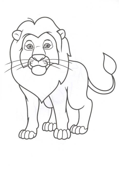 Раскраска. Зоопарк фото книги 2