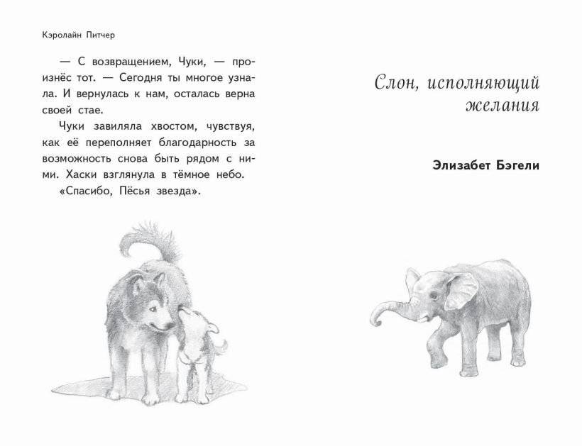 Чудеса в полярную ночь фото книги 5