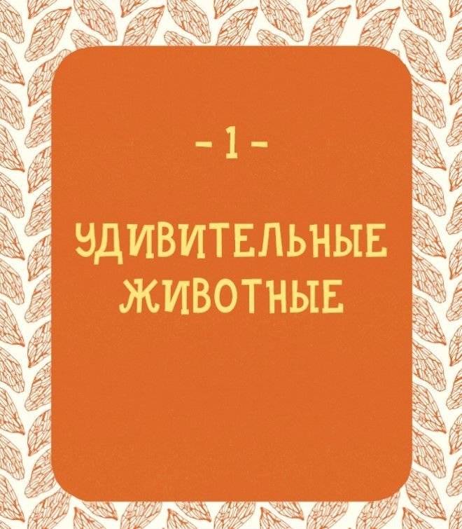 Может ли жираф облизать свои уши? И ещё 319 вопросов о мире вокруг фото книги 6