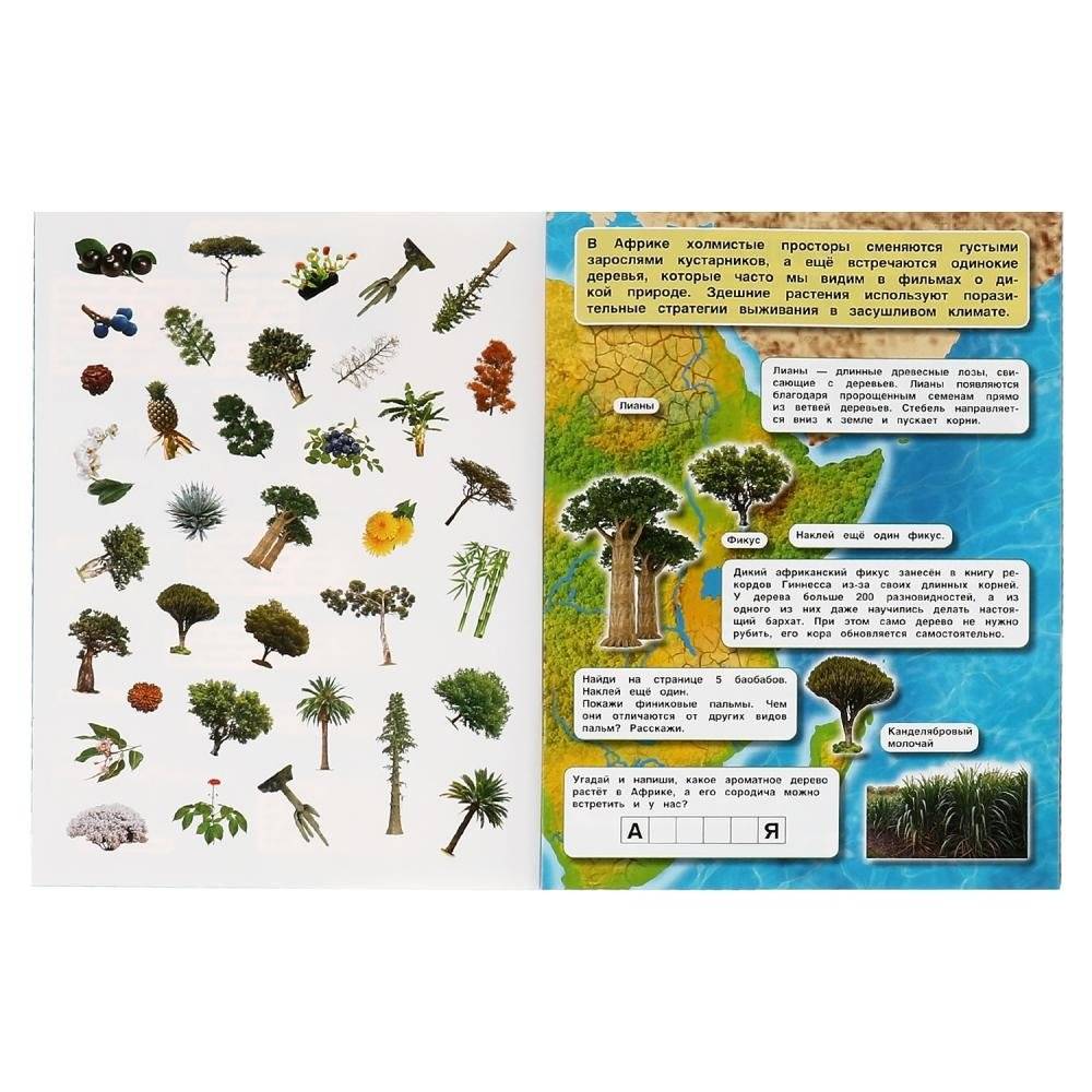 Растения. Атлас мира. 70 наклеек фото книги 2
