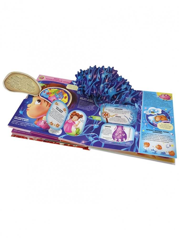 Интерактивная энциклопедия. Анатомия фото книги 2