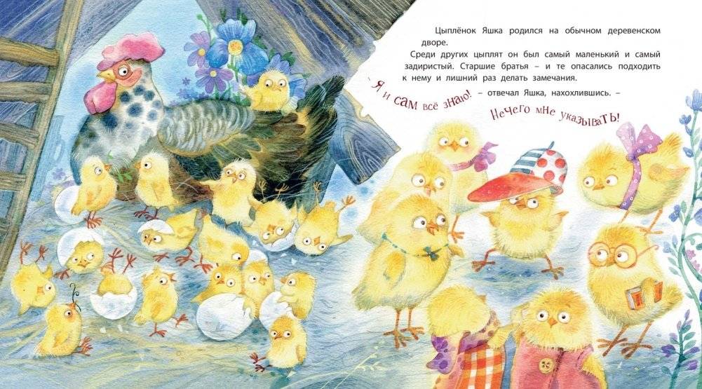 Цыплёнок Яшка, который любил драться фото книги 3