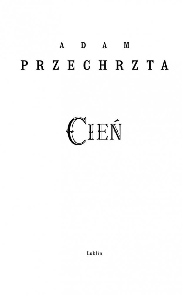 Тень фото книги 3