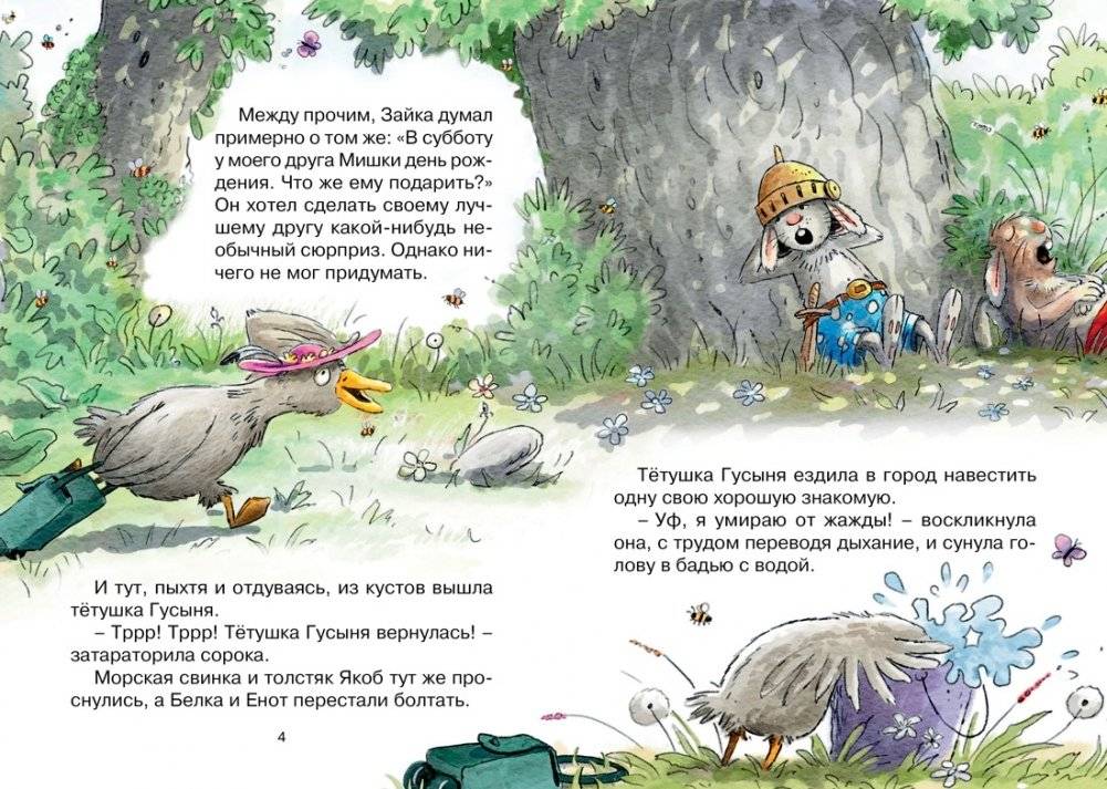 Сюрприз на день рождения фото книги 3