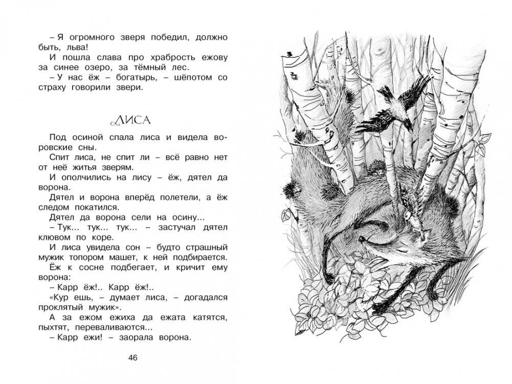 Сорочьи сказки фото книги 6