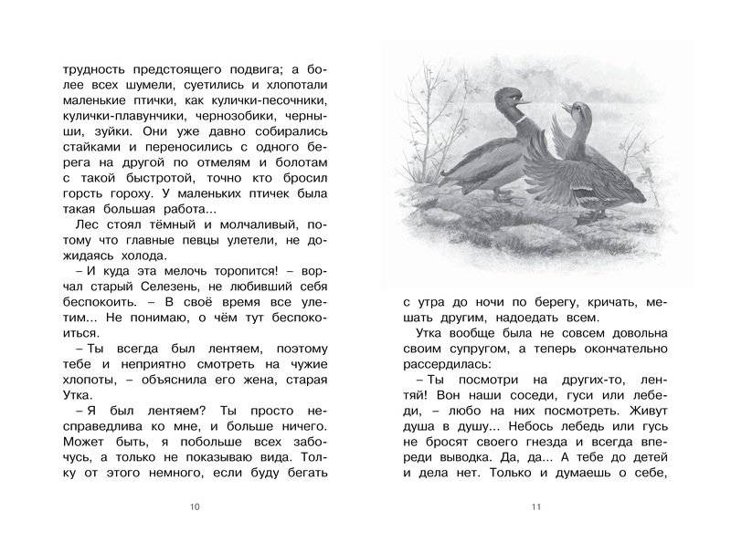 Серая Шейка фото книги 4