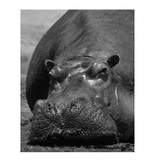 Когда тебе грустно... Как поднять себе настроение фото книги 5