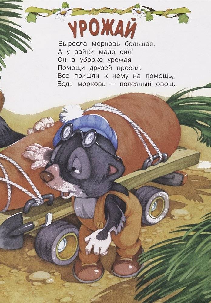 Любимые странички фото книги 5