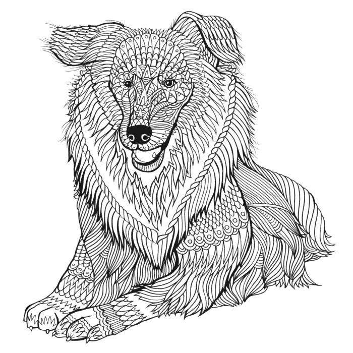 Дудломагия животных. Творчество-антистресс фото книги 3