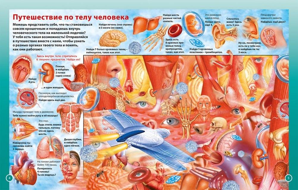 О теле человека для мальчиков и девочек. Детская энциклопедия фото книги 2