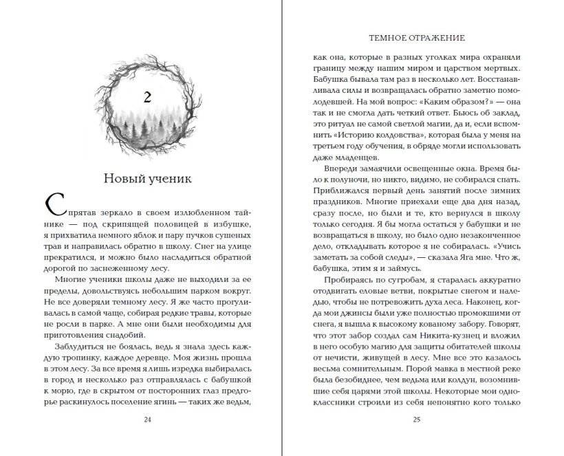 Тёмное отражение фото книги 3