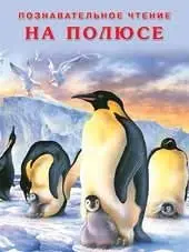 На полюсе фото книги