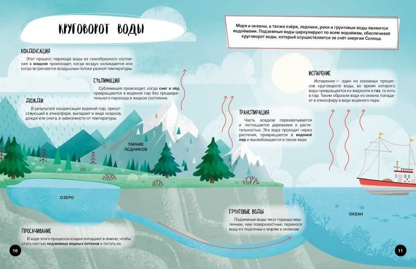 Что? Как? Почему? Мои первые знания про МОРЯ И ОКЕАНЫ (с постером) фото книги 4