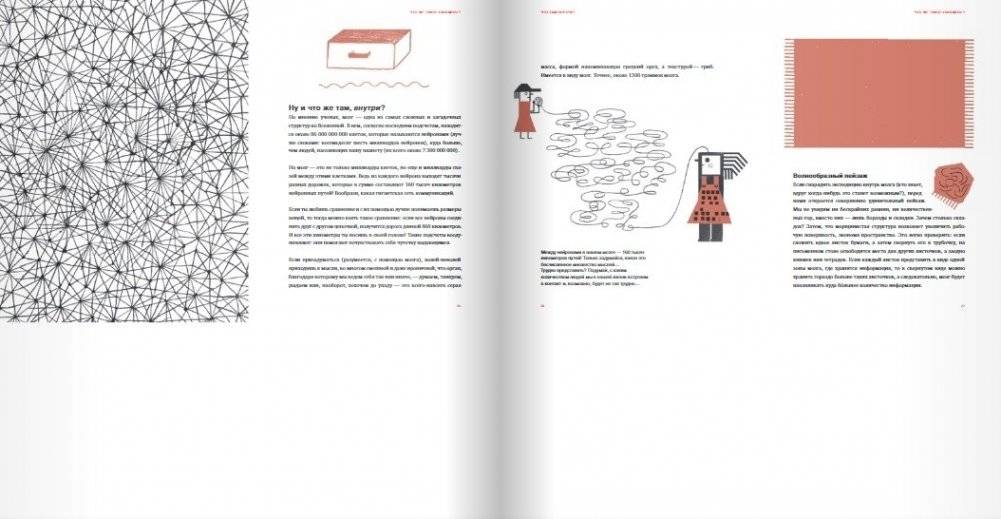 Что там внутри? Путеводитель по нашему мозгу фото книги 7