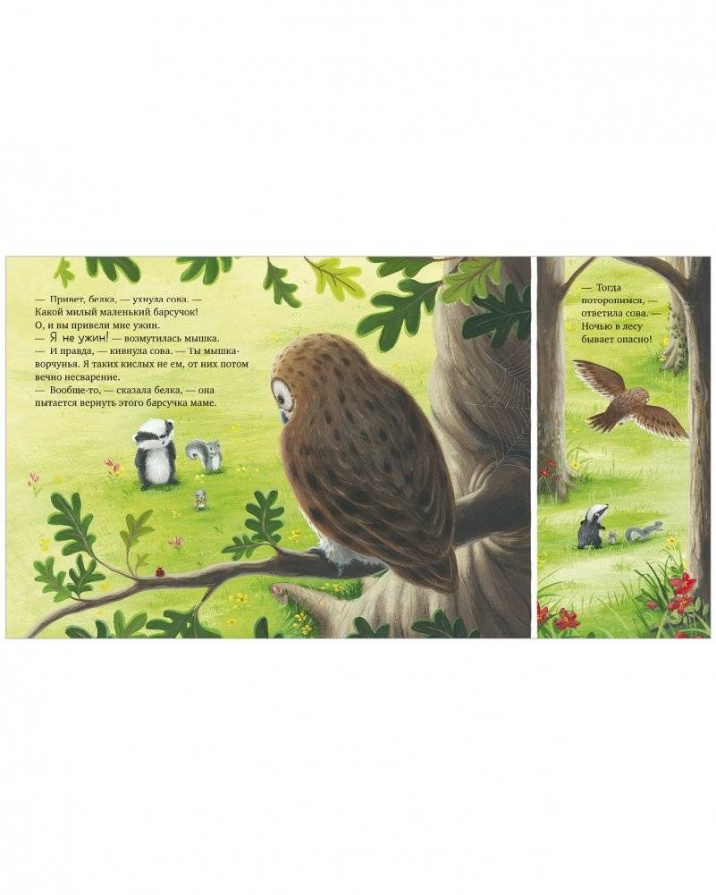 Книжки-картинки (мягкая обложка). Я не ворчунья! фото книги 3