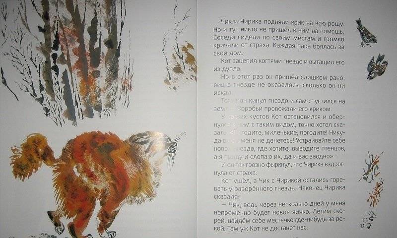 Лесные разведчики фото книги 6