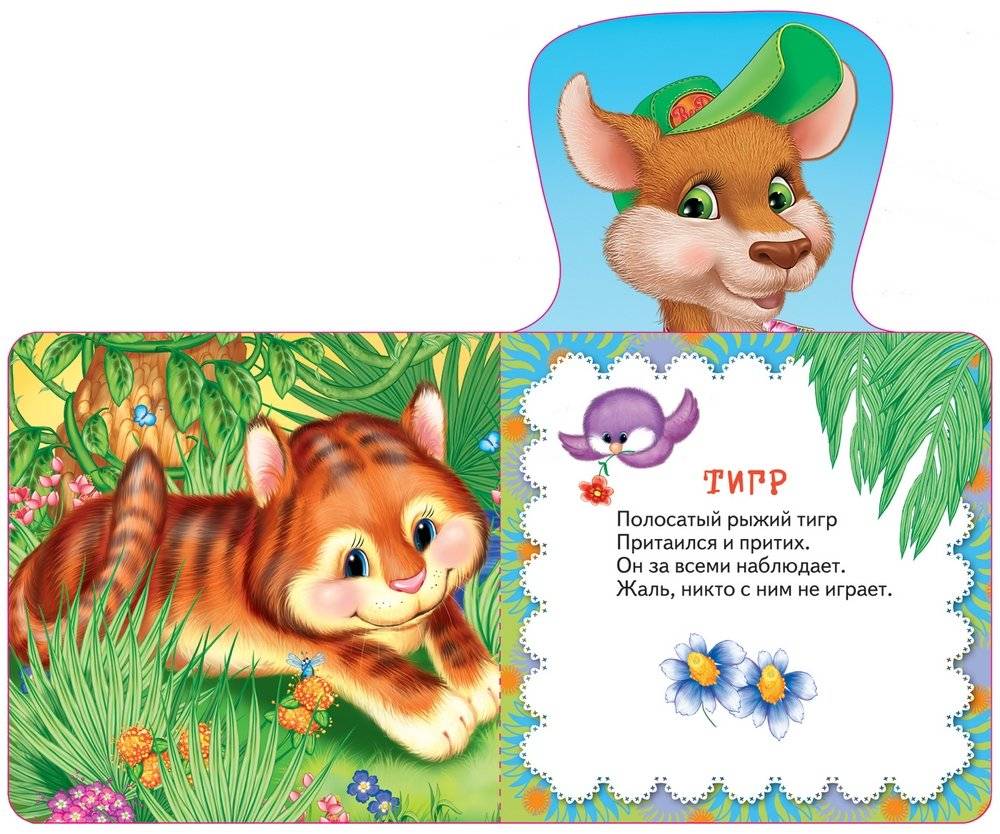 Кенгуру фото книги 3