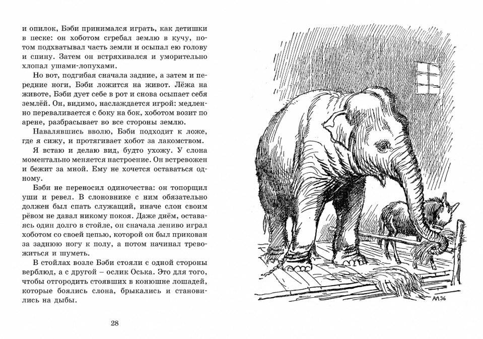 Мои звери фото книги 4